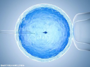 私人志愿者代孕服务怎么选